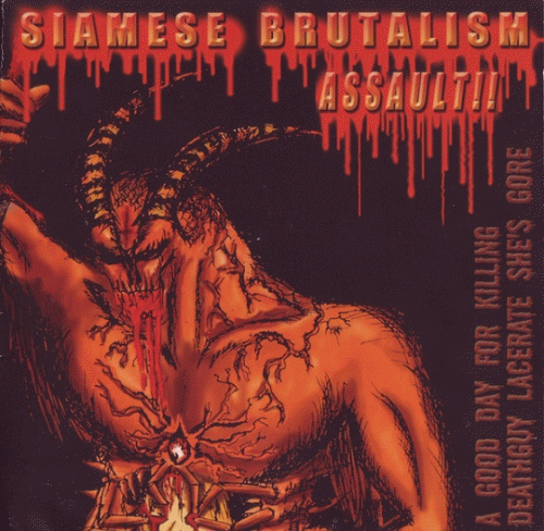 A Good Day For Killing : Siamese Brutalism Assault!!